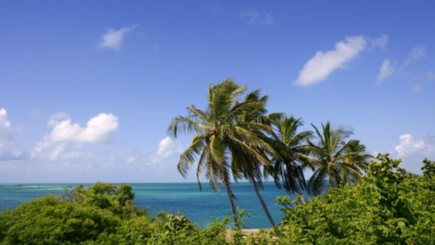 Miami beach - thinkstock - new local dl size